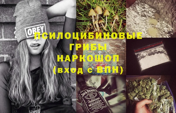 ALPHA PVP Нягань
