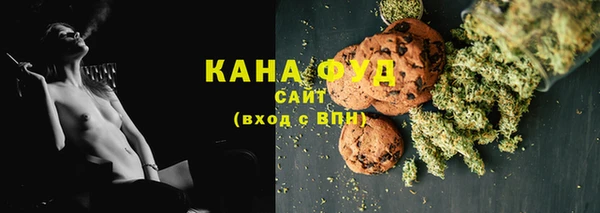 амф Новозыбков