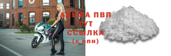 амф Новозыбков