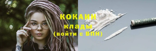 шишки Новодвинск