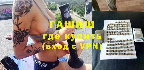 шишки Новодвинск