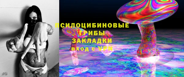 амф Новозыбков