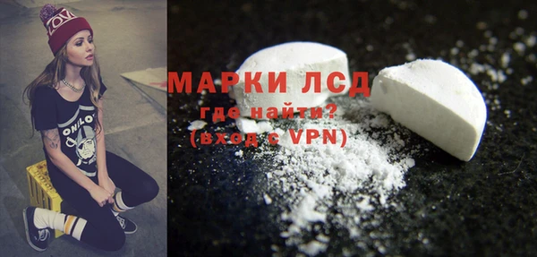шишки Новодвинск