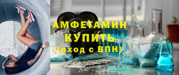 шишки Новодвинск