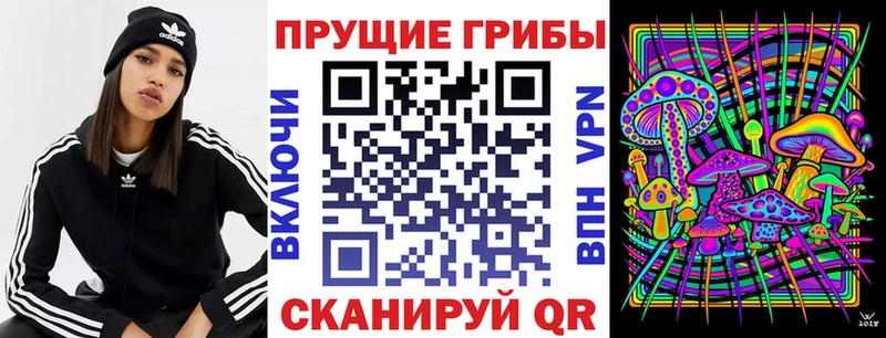 сколько стоит  Бирюч  Псилоцибиновые грибы GOLDEN TEACHER 